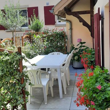 Le Repaire Des Hirondelles - Le Colombage Villa Scharrachbergheim-Irmstett Exteriör bild