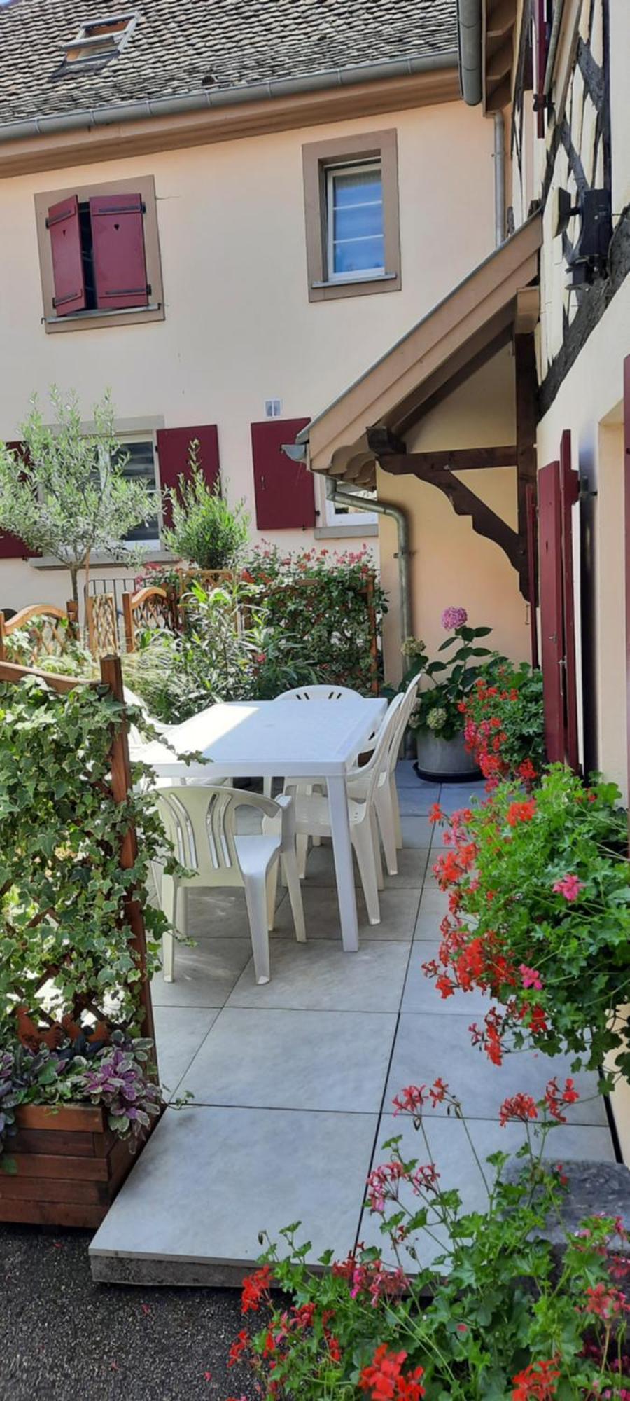 Le Repaire Des Hirondelles - Le Colombage Villa Scharrachbergheim-Irmstett Exteriör bild