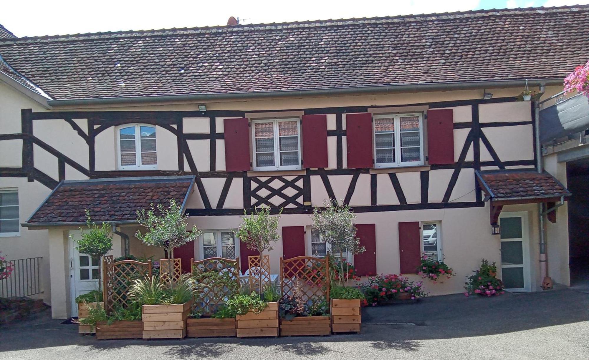 Le Repaire Des Hirondelles - Le Colombage Villa Scharrachbergheim-Irmstett Exteriör bild