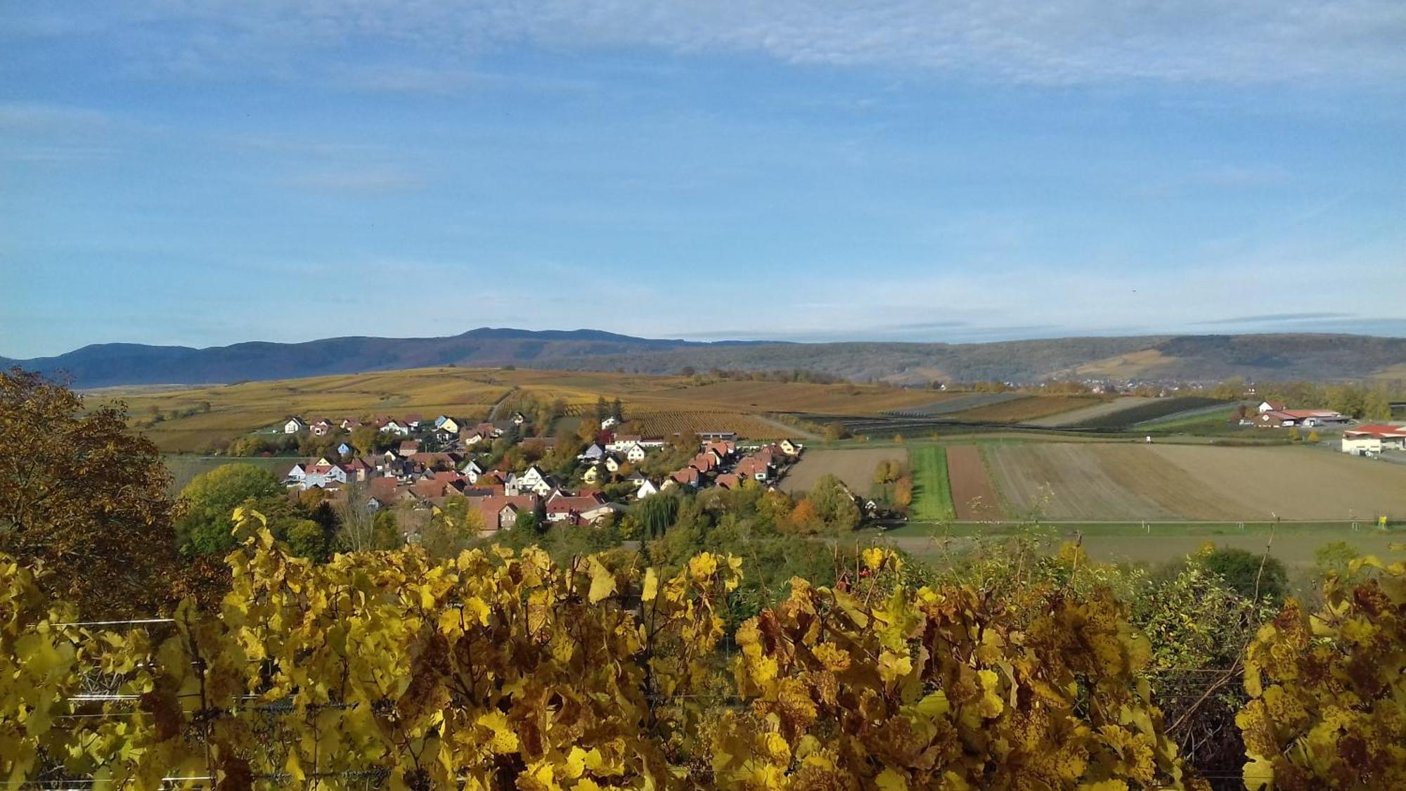 Le Repaire Des Hirondelles - Le Colombage Villa Scharrachbergheim-Irmstett Exteriör bild