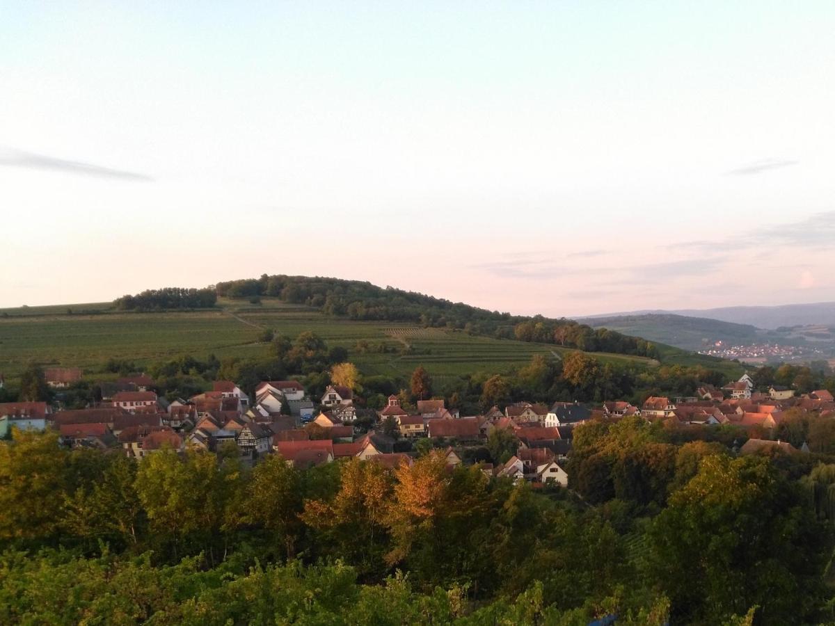 Le Repaire Des Hirondelles - Le Colombage Villa Scharrachbergheim-Irmstett Exteriör bild